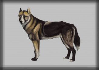 Картинка рисованные животные собаки собака