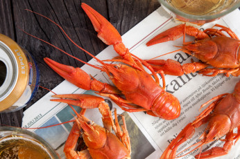 Картинка еда рыба морепродукты суши роллы раки