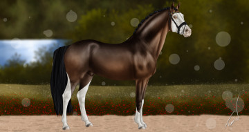 Картинка рисованные животные лошади лошадь