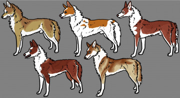 Картинка рисованные животные собаки