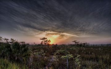 Картинка природа восходы закаты сумрак тучи солнце лес вечер