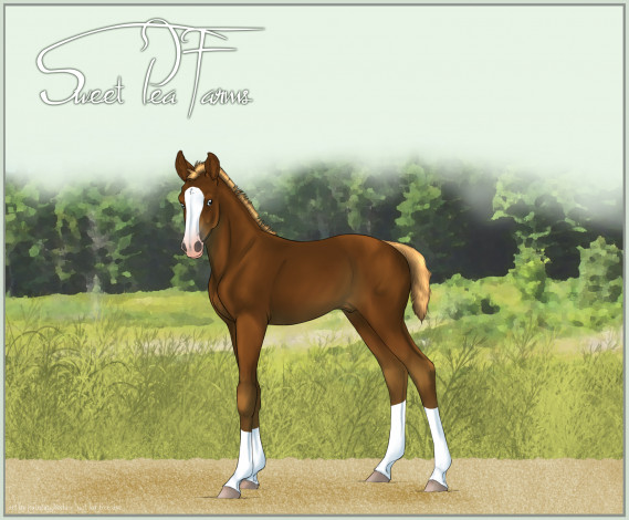 Обои картинки фото рисованные, животные, лошади, лошадь