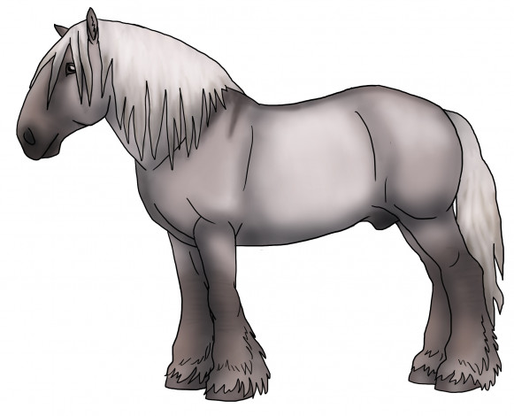 Обои картинки фото рисованные, животные, лошади, лошадь