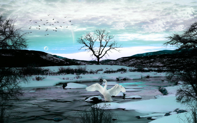 Обои картинки фото 3д, графика, animals, животные, река, снег, дерево, лебедь
