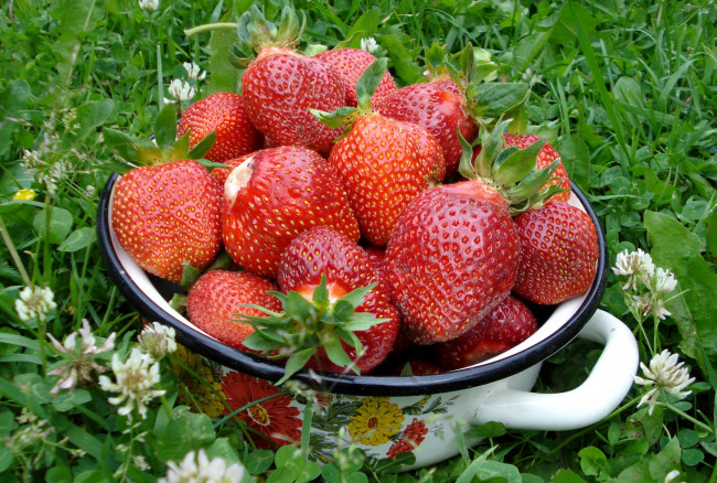 Обои картинки фото еда, клубника, земляника, кастрюлька, ягоды