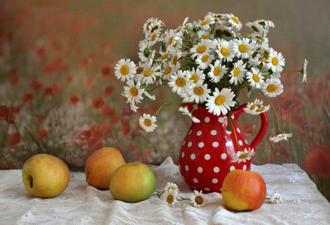 Обои картинки фото еда, Яблоки, кувшин, ромашки