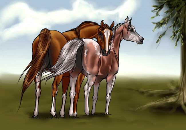Обои картинки фото рисованные, животные, лошади