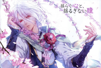 Картинка reine+des+fleurs аниме *unknown+ другое арт usuba kagerou orpheus reine des fleurs парень ветки сакура иероглифы белые волосы красные глаза