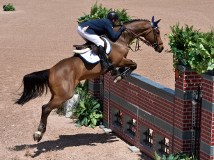 Картинка спорт конный+спорт ипподром скачки жокей лошадь