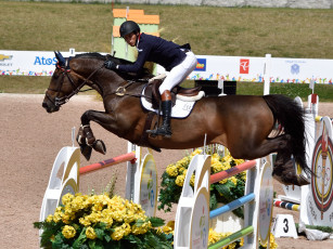 Картинка спорт конный+спорт лошадь скачки жокей ипподром