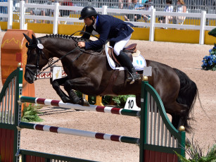 Картинка спорт конный+спорт скачки жокей лошадь ипподром