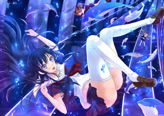 Картинка аниме животные +существа рыбы фон взгляд вода девушки дельфин