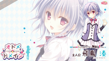 Картинка аниме otome+domain asuka minato otome domain tatekawa mako девочка арт