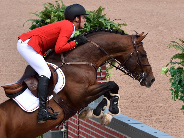 Обои картинки фото спорт, конный спорт, ипподром, скачки, жокей, лошадь