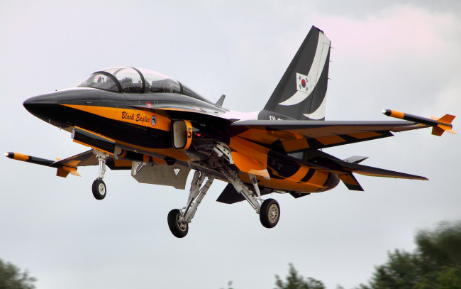 Обои картинки фото авиация, боевые самолёты, шасси