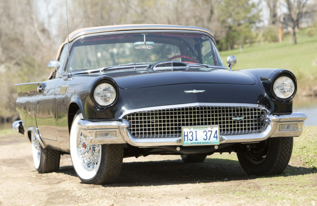 Обои картинки фото автомобили, ford