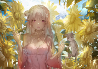 Картинка аниме re +zero+kara+hajimeru+isekai+seikatsu emilia