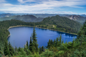 Картинка природа реки озера река лес