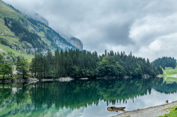 Картинка природа реки озера река лес