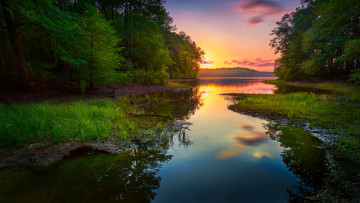 Картинка природа реки озера река лес