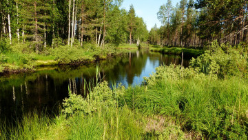 Картинка природа реки озера река лес