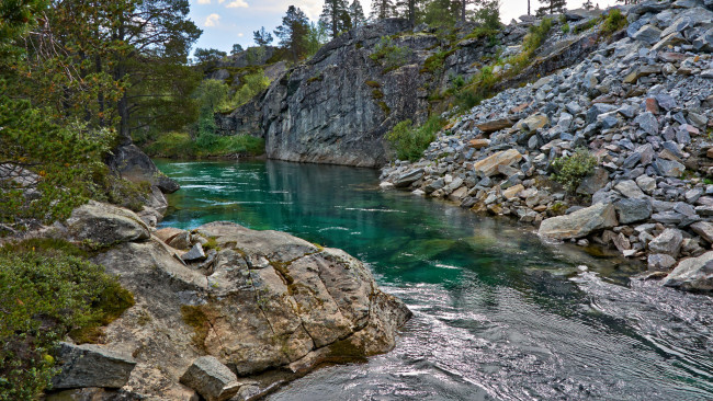 Обои картинки фото природа, реки, озера, река, лес