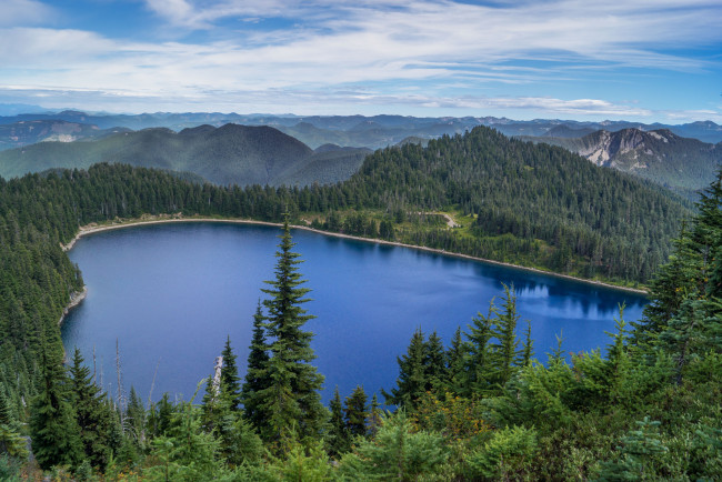 Обои картинки фото природа, реки, озера, река, лес