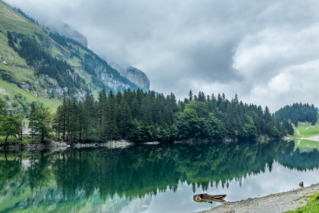 Обои картинки фото природа, реки, озера, река, лес