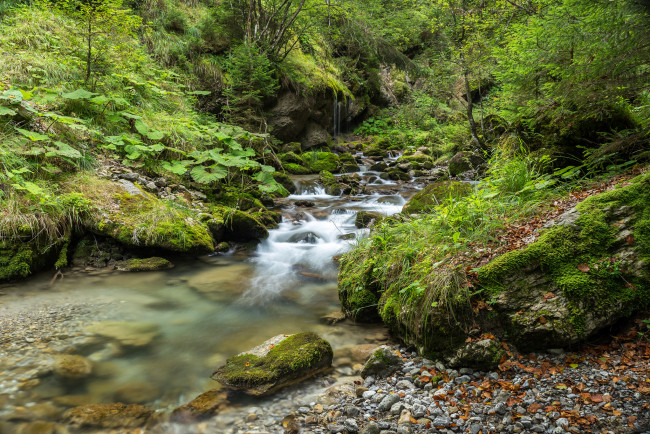 Обои картинки фото природа, реки, озера, река, лес