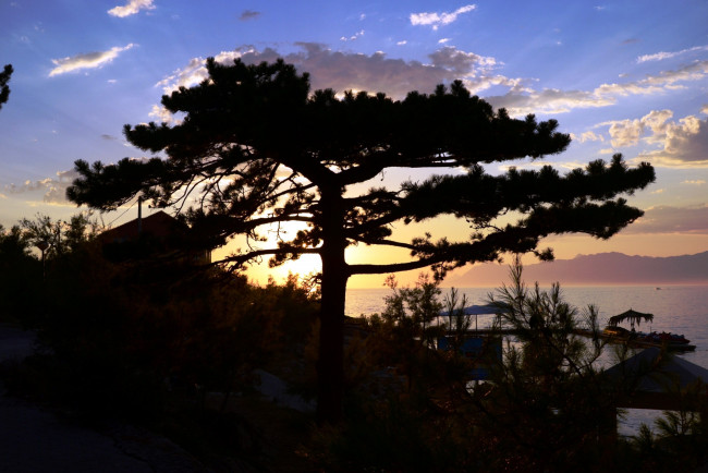 Обои картинки фото природа, восходы, закаты, дерево, закат, облака