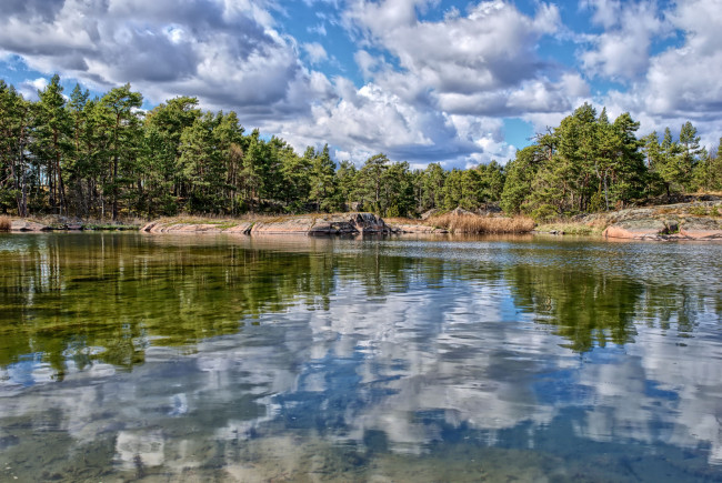 Обои картинки фото природа, реки, озера, река, лес