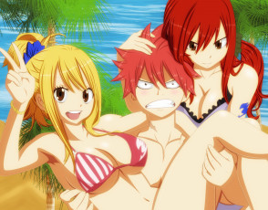 Картинка аниме fairy+tail хвост феи