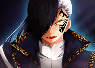 Картинка аниме fairy+tail white shadow dragon's