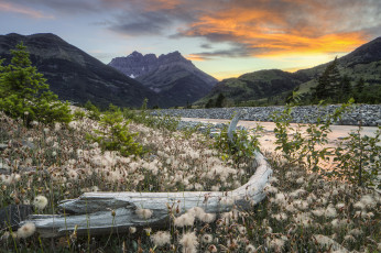 Картинка природа луга простор