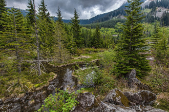 Картинка природа пейзажи простор