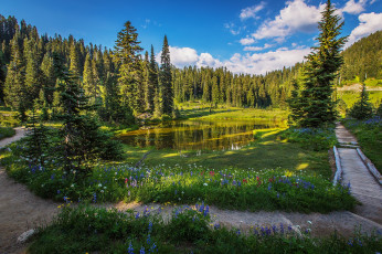 Картинка природа пейзажи простор