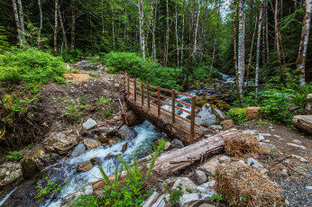 Картинка природа реки озера простор