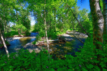 Картинка природа реки озера простор