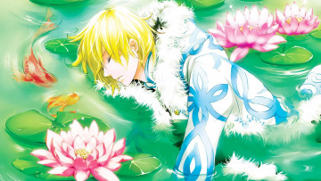 Картинка аниме unknown +другое цубаса водохранилище хроника сенэн лотосы цветы парень вода