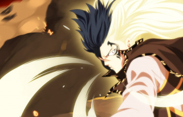 Картинка аниме fairy+tail white shadow dragon's