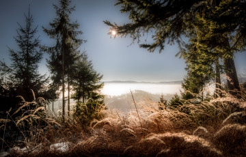 Картинка природа пейзажи простор