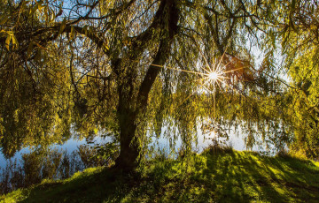 Картинка природа реки озера простор