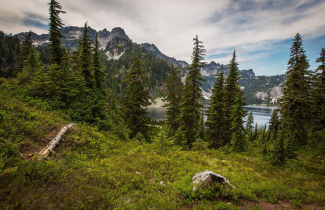 Обои картинки фото природа, пейзажи, простор