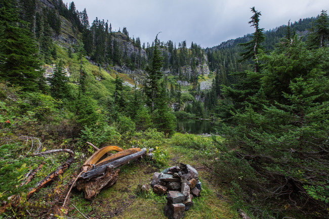 Обои картинки фото природа, лес, простор