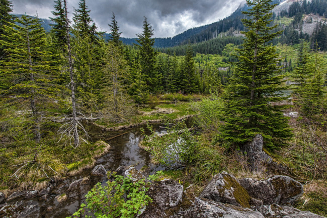 Обои картинки фото природа, пейзажи, простор