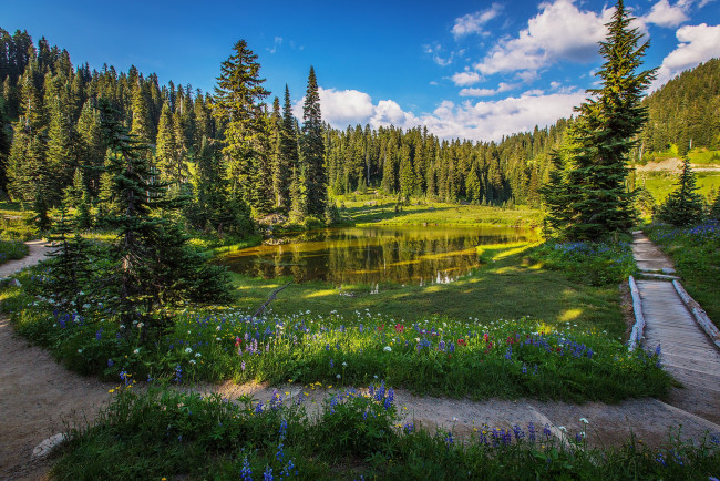 Обои картинки фото природа, пейзажи, простор