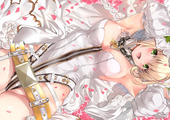 Обои картинки фото аниме, fate, stay night, saber, extra