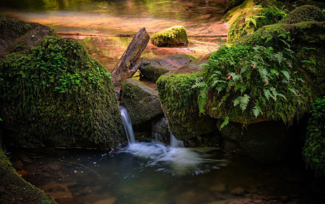 Обои картинки фото природа, водопады, водопад, озеро, камни, папоротник