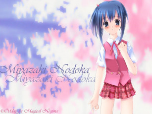 Картинка аниме mahou sensei negima