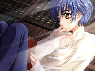 Картинка аниме moonlight lady